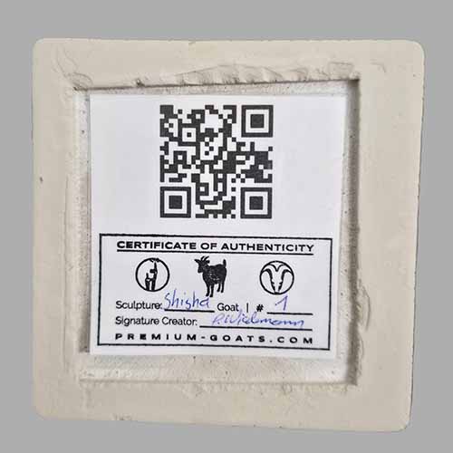Ghettoblaster Goat Certificate